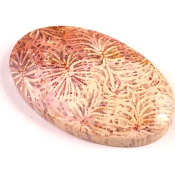 Přírodní kámen Kabošon Fossil Coral č.5433 (37x23x6mm)