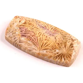 Přírodní kámen Kabošon Fossil Coral č.5429 (37x18x6mm)
