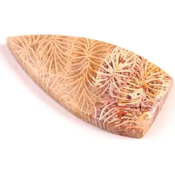 Přírodní kámen Kabošon Fossil Coral č.5438 (42x21x6mm)