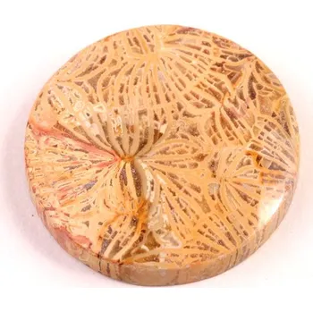 Přírodní kámen Kabošon Fossil Coral č.5437 (27x6mm)