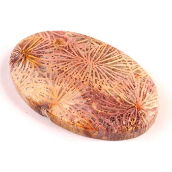 Přírodní kámen Kabošon Fossil Coral č.5434 (37x22x6mm)