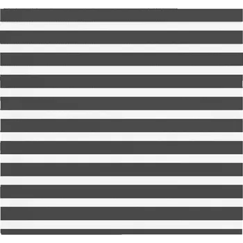 vidaXL Zebra roleta 165x150cm šířka látky 160,9cm polyester [4014768] Barva: Černá