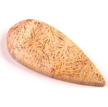 Sběratelství Kabošon Fossil Coral č.5430 (46x20x7mm)