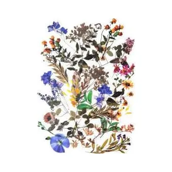 samolepka Dekorativní samolepky fóliové - luční kvítí, 40 ks