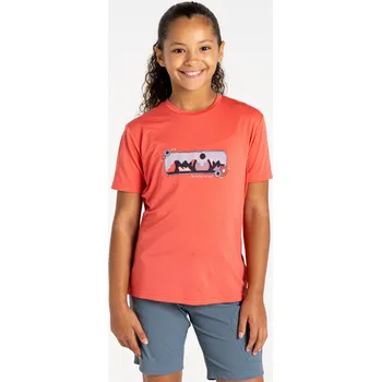 Dare2b Dětské funkční tričko Amuse II Tee DKT452 peach bloom Velikost: 164