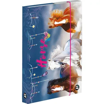 desky na sešit Oxybag Jumbo box na sešity A4 3 cm