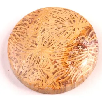 Přírodní kámen Kabošon Fossil Coral č.5423 (27x6mm)