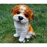 Prodex Pes Shi-tzu 30 x 21 cm