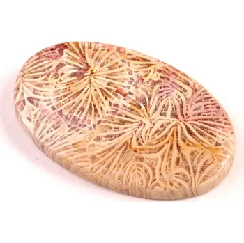 Sběratelství Kabošon Fossil Coral č.5432 (38x23x6mm)
