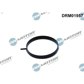 Palivový systém Těsnění, hrdlo škrtící klapky DR.MOTOR DRM01957