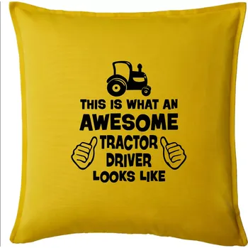 Polštář Užasný řidič je zde! - Polštář 50x50 - 50x50 - Pouze potah ( Žlutá )