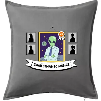 Polštář Zaměstnanec měsíce - Polštář 50x50 - 50x50 - Pouze potah ( Tmavě šedý melír )