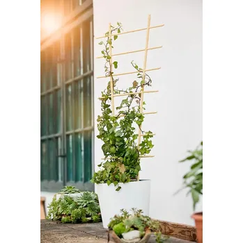 Opora na rostlinu Windhager Mřížka pro popínavé rostliny, přírodní, 40 × 110 cm 5923