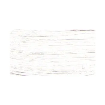 Výtvarná barva Restaurátorská barva Renesans 20ml – 01 Titanium white (Restaurátorská barva Renesans 20ml – 01 Titanium white)