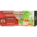 KOH-I-NOOR Triocolor Natur 3152N12007KS…