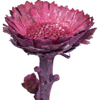 Compacta frosted color o / s Erika, 30 ks