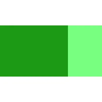 Speciální výtvarná barva Kvašová barva Schmincke 20ml – 561 fir green (Kvašová barva Schmincke 20ml – 561 fir green)