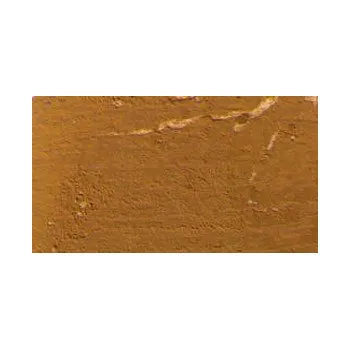 Výtvarná barva Restaurátorská barva Renesans 20ml – 06 Yellow ochre (Restaurátorská barva Renesans 20ml – 06 Yellow ochre)