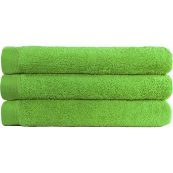 Ručník Kapatex Home Froté ručník Klasik 50x100cm světle zelený Zelená UNI (2828839)