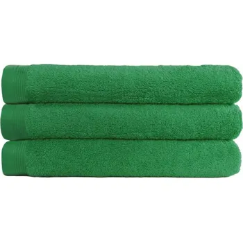 Ručník Kapatex Home Froté ručník Klasik 50x100cm zelený Zelená UNI (2828829)