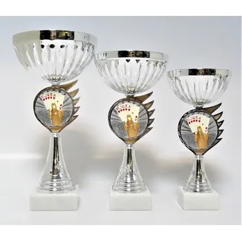 Karty poháry K17-FG060 Zde napište text na štítky a součet zadejte do košíku. Více informací viz.POPIS v dolní části.