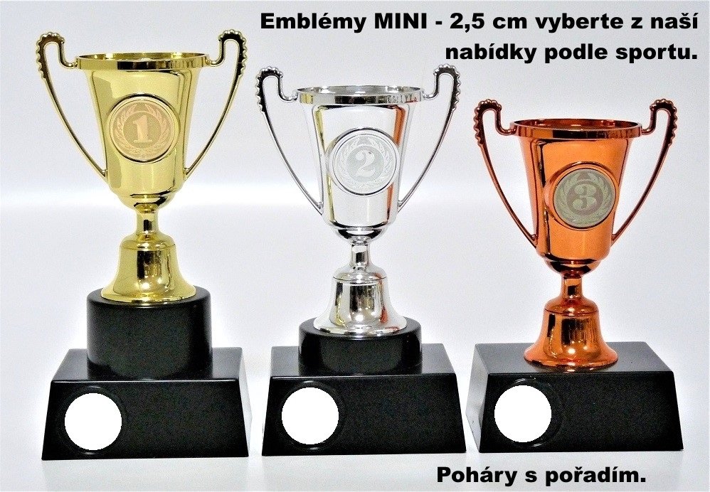 VIZINGR Poháry 376