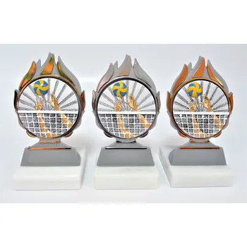 Volejbal plakety Q120-802-FG007 Zde napište text na štítky a součet zadejte do košíku. Více informací viz.POPIS v dolní části.