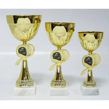 Florbal poháry X15-L227 Zde napište text na štítky a zadejte do košíku. Více informací POPIS v dolní části.