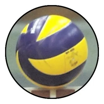 VIZINGR Volejbal MAXI logo L2č.205