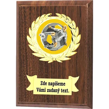 Fotbal plaketa NP01-L427 Zde napište text na štítky a součet zadejte do košíku. Více informací viz.POPIS v dolní části.