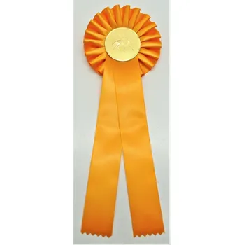 VIZINGR Drezura kokarda žlutá