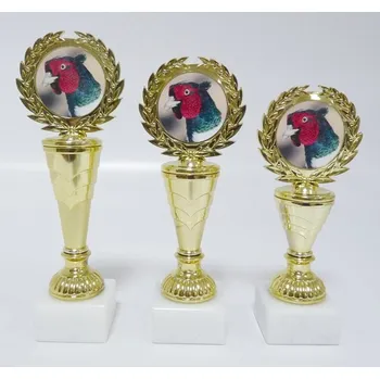 Bažant trofeje 40-L151 Zde napište text na štítky a zadejte do košíku. Více informací POPIS v dolní části.