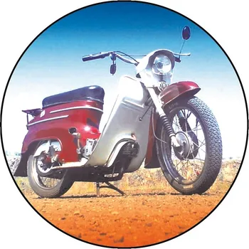 VIZINGR Fichtl MINI logo L1č.220