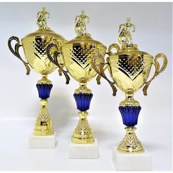 Fotbal poháry X39-P004 Zde napište text na štítky a součet zadejte do košíku. Více informací viz.POPIS v dolní části.