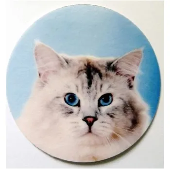 VIZINGR Kočky MAXI logo L2č.30