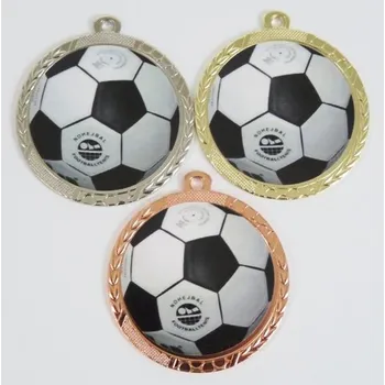 Nohejbal medaile D113-L224 DO KOŠÍKU ZADEJTE SOUČET ŠTÍTKŮ !!! - Více informací viz. POPIS v dolní části.