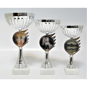 Poháry K17 Zde napište text na štítky a součet zadejte do košíku. Více informací viz.POPIS v dolní části.