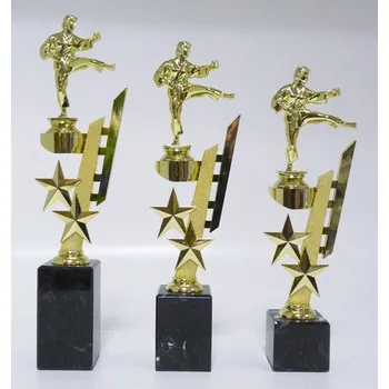 Karate trofeje ŽENY 38-F99 Zde napište text na štítky a součet zadejte do košíku. Více informací viz.POPIS v dolní části.