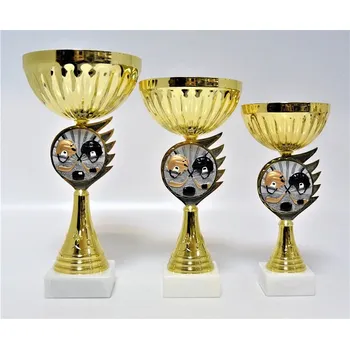 Hokej poháry K18-FG054 Zde napište text na štítky a součet zadejte do košíku. Více informací viz.POPIS v dolní části.