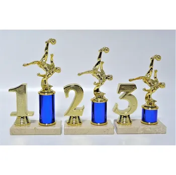 Nohejbal trofeje 75-F230 Zde napište text na štítky a součet zadejte do košíku. Více informací viz.POPIS v dolní části.