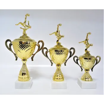 Nohejbal poháry X44-F230 Zde napište text na štítky a součet zadejte do košíku. Více informací viz.POPIS v dolní části.