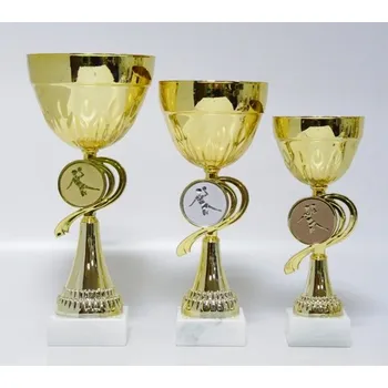 Házená poháry ŽENY X15-8 Zde napište text na štítky a zadejte do košíku. Více informací POPIS v dolní části.