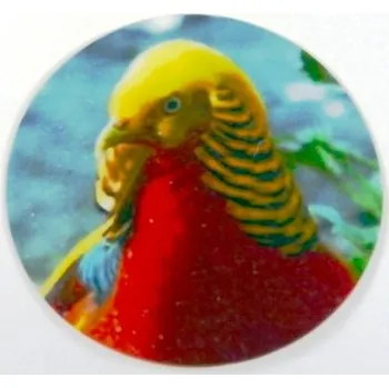 VIZINGR Bažant zlatý MAXI logo L2č.55