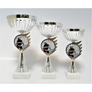 Hasič poháry K17-FG039 Zde napište text na štítky a součet zadejte do košíku. Více informací viz.POPIS v dolní části.