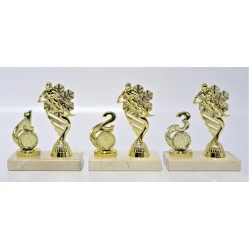 Sjezd trofeje 100-P424.01 Zde napište text na štítky a součet zadejte do košíku. Více informací viz.POPIS v dolní části.