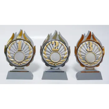 Trofeje s pořadím Q120-FG046-8 Zde napište text na štítky a součet zadejte do košíku. Více informací viz.POPIS v dolní části.