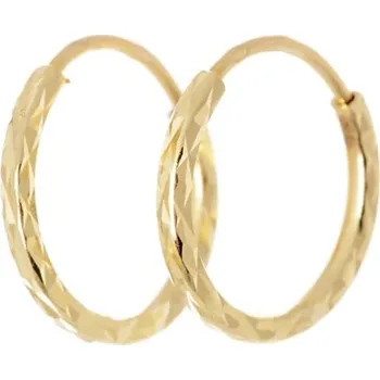Náušnice Dámské náušnice kruhy ze žlutého zlata 15 mm NA0431F + DÁREK ZDARMA