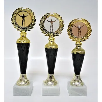 Kulturista trofeje 41-81 Zde napište text na štítky a součet zadejte do košíku. Více informací viz.POPIS v dolní části.