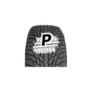 Zimní osobní pneu GREENTRAC WINTER MASTER D1 255/50 R19 107V XL M+S