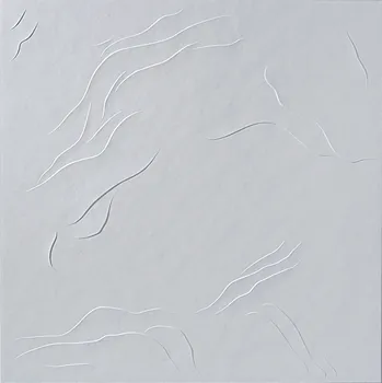 Obklad vyrobeno v Evropě Stropní kazeta Mewa bílá 1 m2 500 x 500 x 0 mm